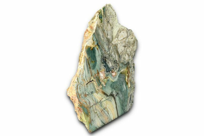 Freestanding Gary Green Jasper (Larsonite) Bog Wood - Oregon #377862